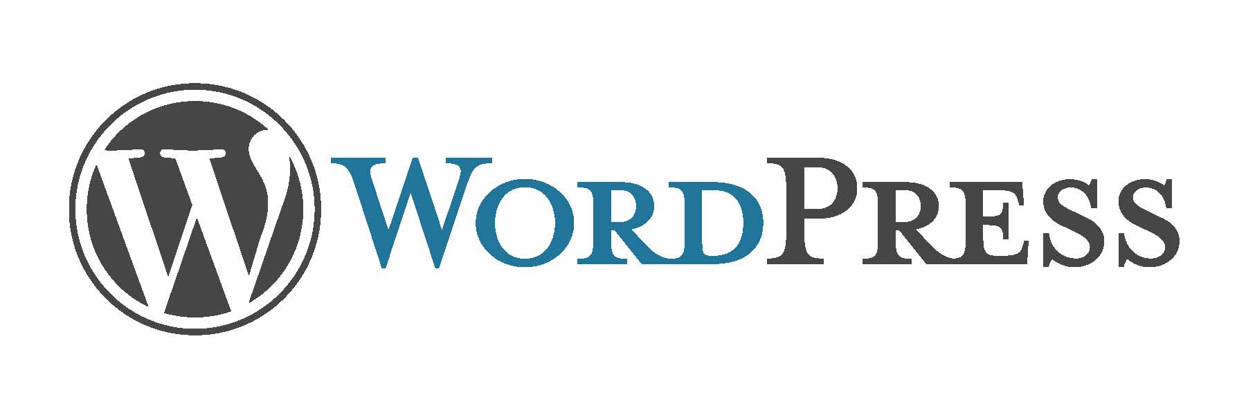 Become a WordPress Pro – A Guide With Everything You Need to Know